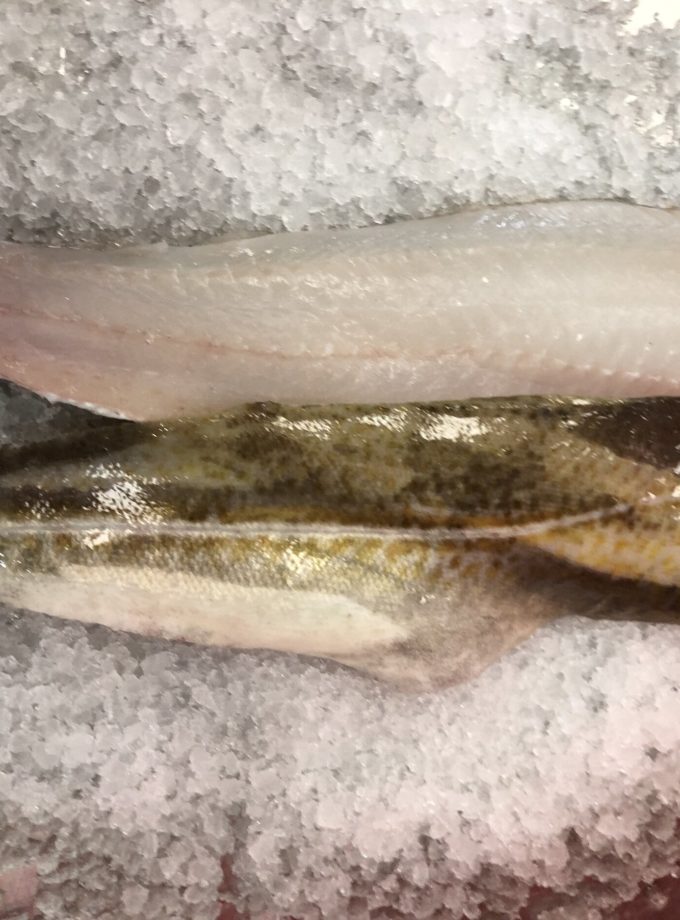 Cod Fillet 新鲜鳕鱼片