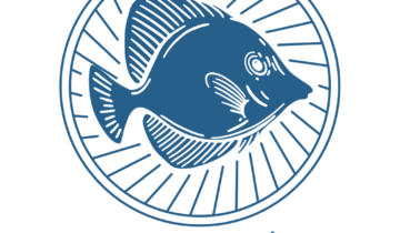 51Fish小程序上线啦