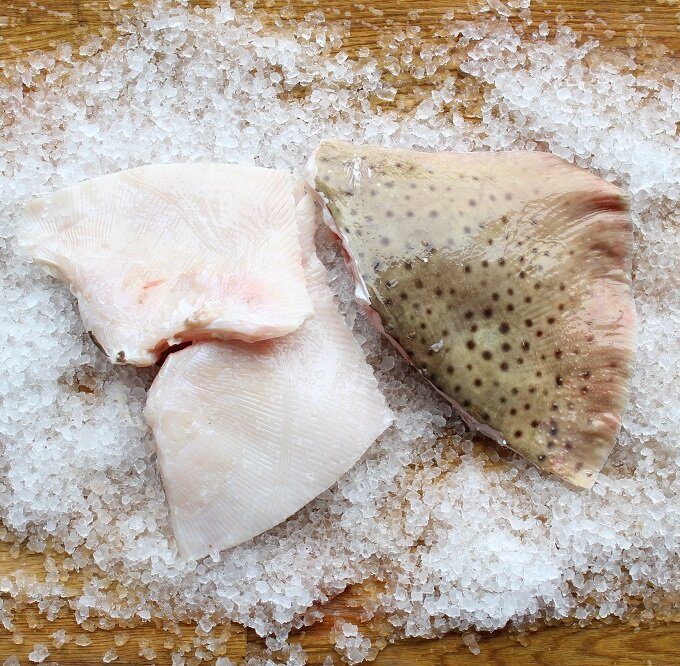 Skate Wings 新鲜鳐鱼翅