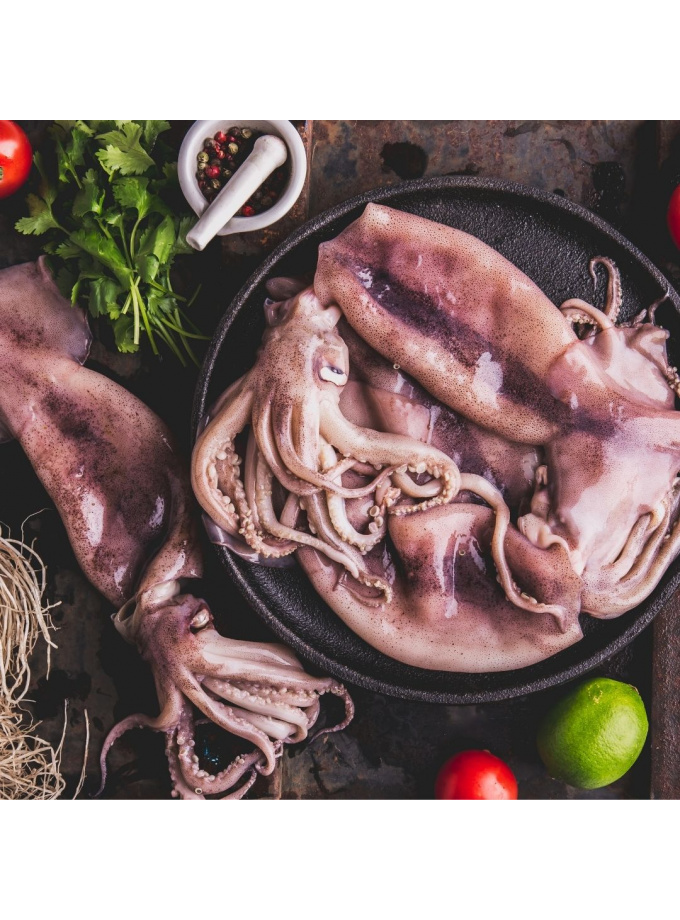 Fresh Squid 新鲜鱿鱼