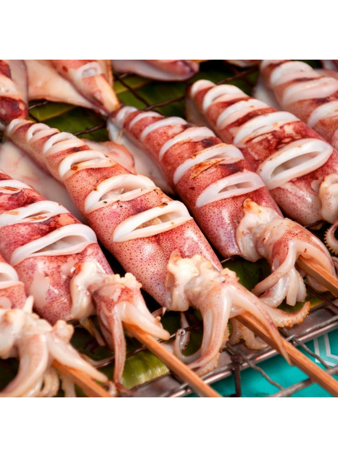 Fresh Squid 新鲜鱿鱼