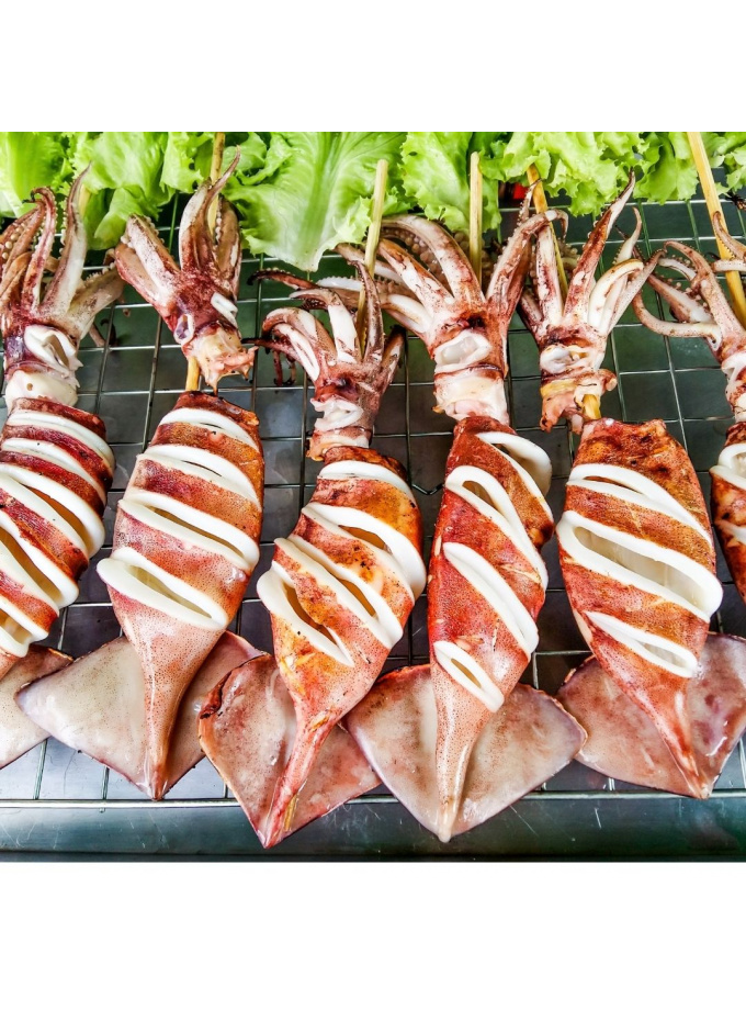 Fresh Squid 新鲜鱿鱼